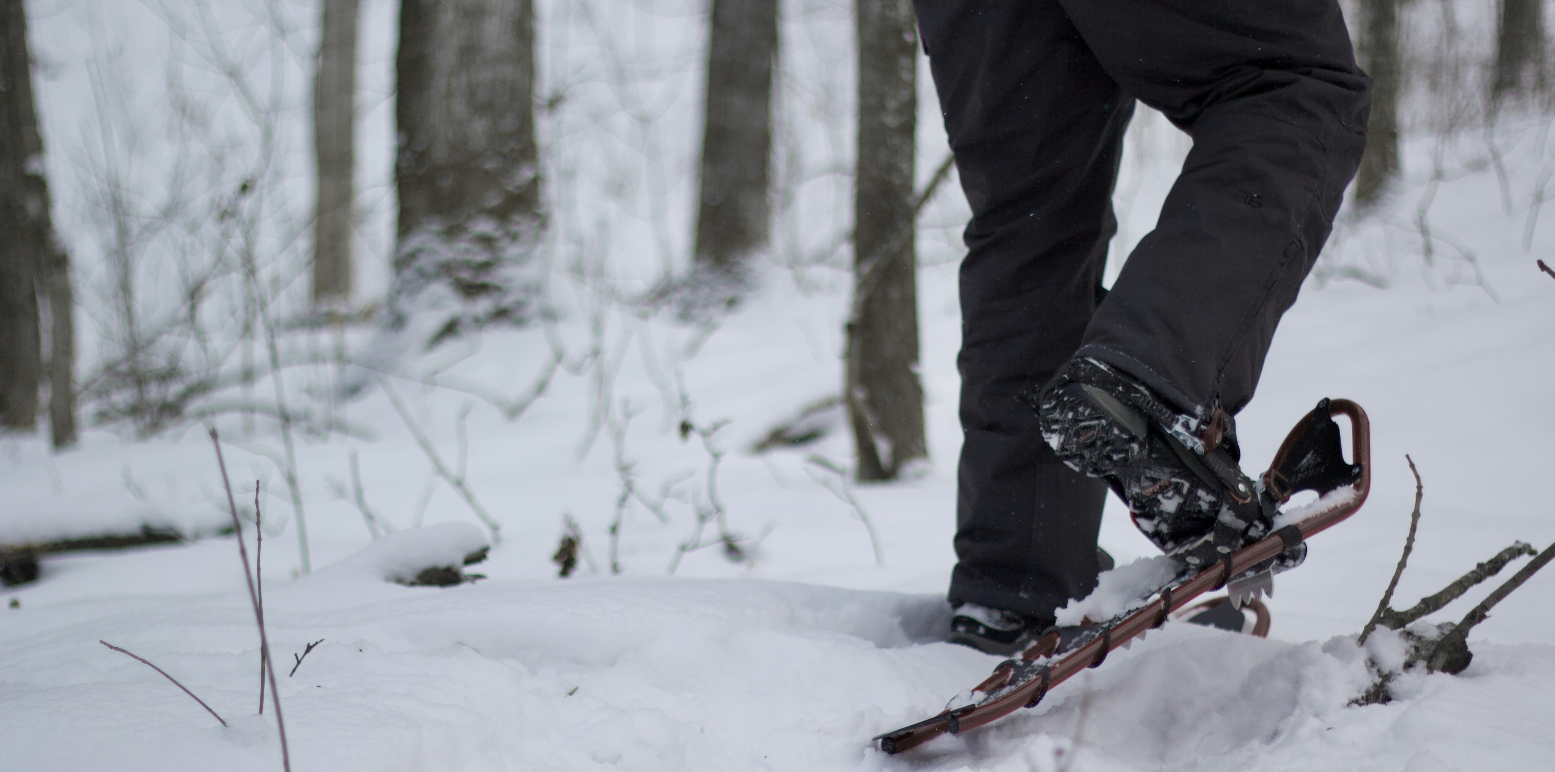 Snowshoeing on the trail