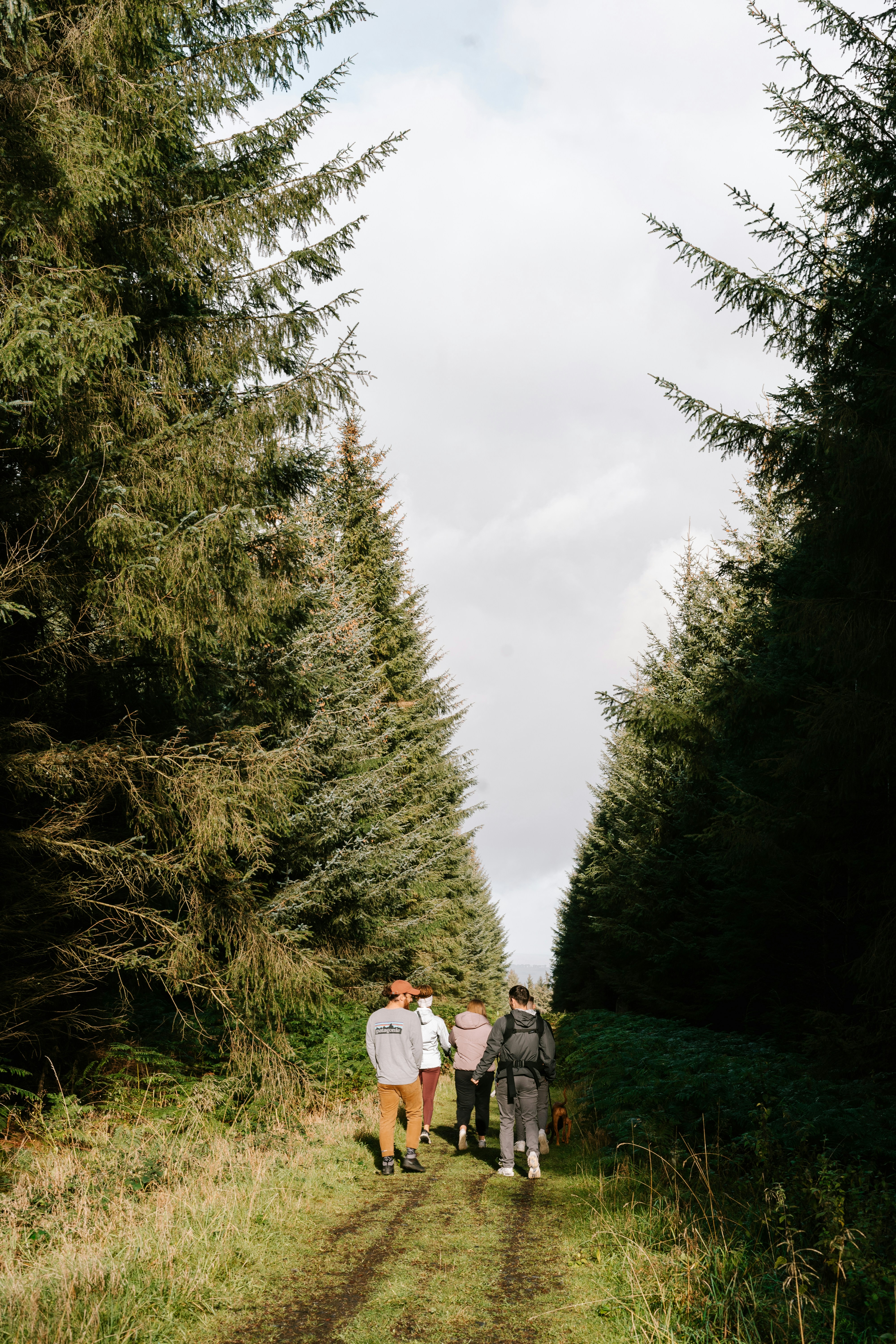 Friends hiking on the trail